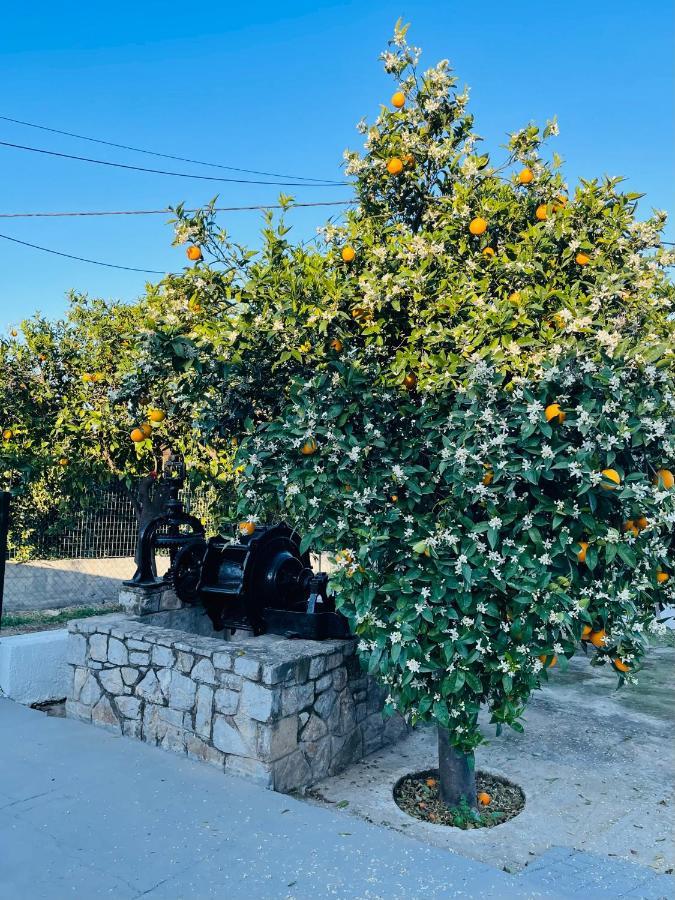 Willa Citrus Garden Epidaurus Zewnętrze zdjęcie