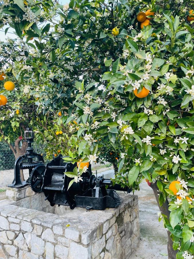 Willa Citrus Garden Epidaurus Zewnętrze zdjęcie