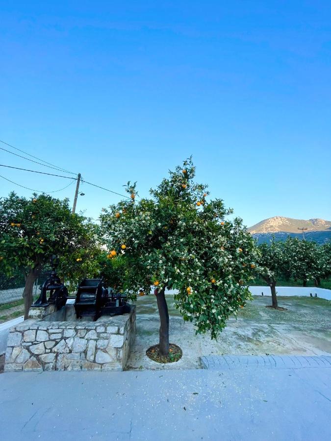 Willa Citrus Garden Epidaurus Zewnętrze zdjęcie