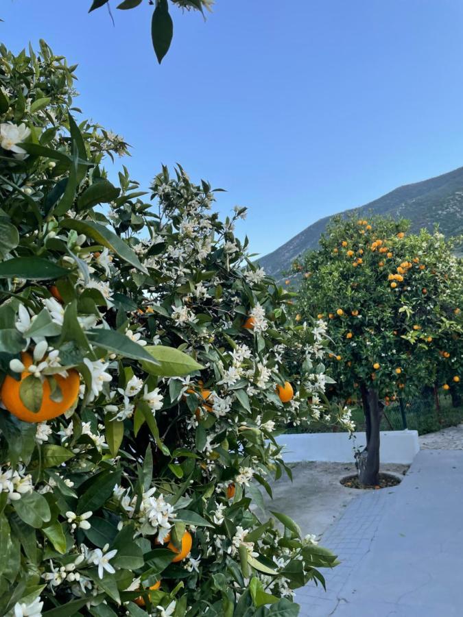 Willa Citrus Garden Epidaurus Zewnętrze zdjęcie