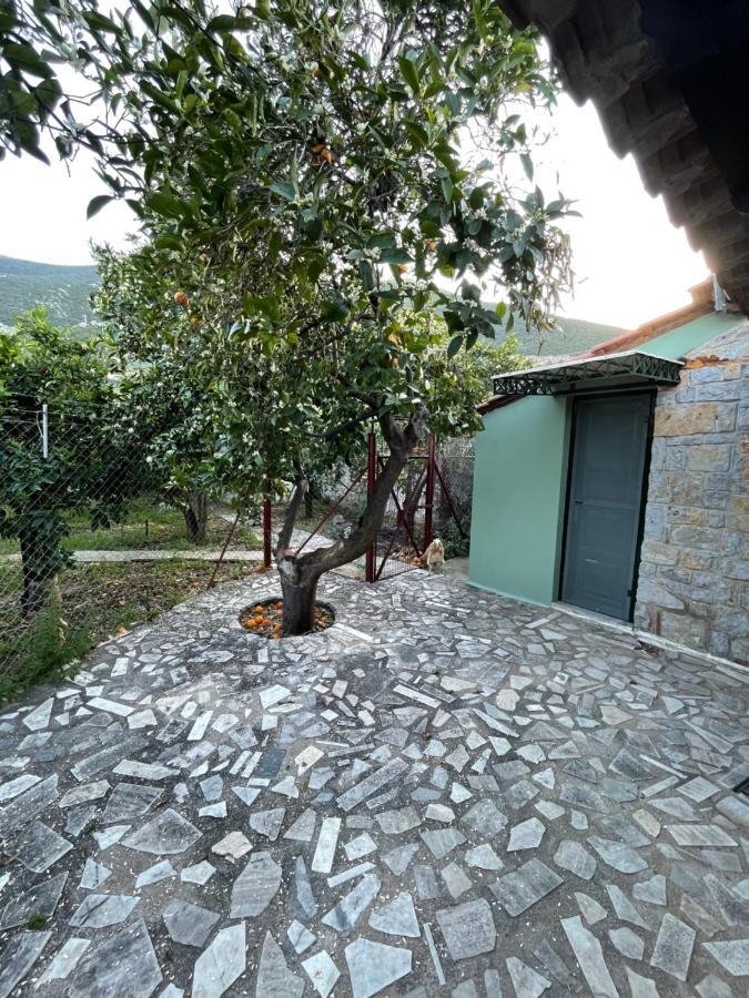 Willa Citrus Garden Epidaurus Zewnętrze zdjęcie